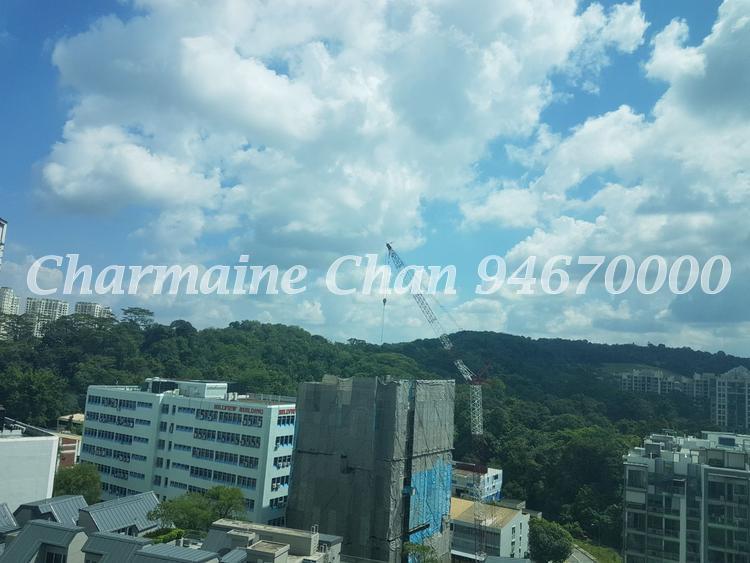 Hillview Regency (D23), Condominium #148569252